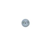 Capuchon recouvrement vis beton T30 GRIS bte 50 Ing fixations