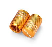 Capuchons de noyaux de soupapes pour Motos pour Suzuki V-Strom DL 250 650 1000 1050 XT 800 DE Valve De Pneu Moto Bouchon Bouchons Hermétiques(AA-1)