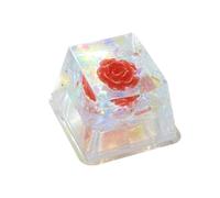 Capuchons de Touches en résine,Capuchons de Clavier en résine Backspace - Résine Fleu sèches Jeu Clavier Keycap | Capuchons de Touches de Clavier de Jeu, Remplacement, translucide, R4