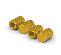 Capuchons de Valve de Pneu pour BYD Atto 3 Act Tang F3 E6 Dmi Yuan Song Plus EV2022 2023 Couvercle De Capuchon Valve Pneu Roue Voiture(B Golden)