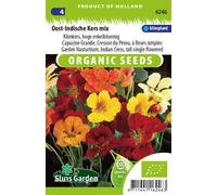 Capucine Grande avec mélange de fleurs simples - Graines- Env. 2,5 g | SG6246