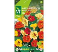 Capucine Naine Graines- Env. 3 gr | VT_248