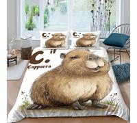 Capybara Animal Illustration Ensemble De Literie 3 pièces 3D Imprimée Léger Cute Cartoon Art Housse de Couette avec Taie d'oreiller Entretien Facile for Chambre Adulte Super King（260x220cm）