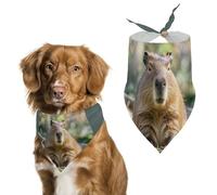 Capybara Bandanas pour chien avec yeux fermés pour nourrir et toiletter, bavoirs triangulaires lavables pour animaux domestiques pour chats et chiens