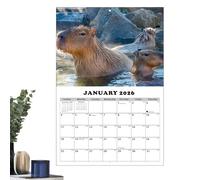 Capybara Calendrier mural mensuel 2026-2027, planificateur esthétique sur 13 mois avec dates juliennes, papier épais sans bavure pour les familles occupées et les étudiants, organiseur amusant sur le