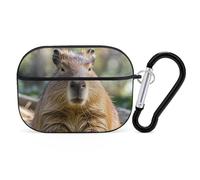 Capybara Coque pour AirPod Pro avec yeux fermés, anti-rayures en polycarbonate rigide avec porte-clés, accessoires pour AirPod Pro 2e/1ère coque pour homme et femme, style noir