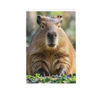 Capybara Drapeau de jardin avec yeux fermés - 61 x 91 cm - Ne se décolore pas - Double face - Bannière d'extérieur pour cour, porche, pelouse
