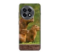 Capybara Family Giant Guinea Pig Etui Coque Housse pour OnePlus 13R