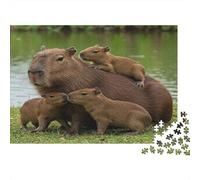 Capybara Family Scene 100% Recycled Cardboard Capybara Family 1000 Piece Jigsaw Puzzles Adults and Children Fun Present 38x26cm/1000pcs