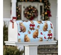 Capybara Housse magnétique de boîte aux lettres pour décoration de pelouse, cadeau de Noël, cadeau festif de Père Noël, bleu clair, 53,3 x 64,9 cm