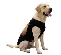 Capybara_ Joyeux Anniversaire Gilet rafraîchissant pour Chien Chemises d'été Pull Mignon Vêtements pour Animaux de Compagnie pour Grand Chiot
