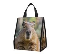 Capybara - Sac à déjeuner isotherme avec yeux fermés pour homme et femme, grand sac d'épicerie réutilisable, étanche et pliable pour le travail, le camping, le pique-nique