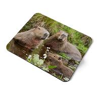 Capybara Tapis de souris pour ordinateur - Tapis de souris ergonomique pour la natation, la famille, le bureau, la maison, le bureau Tissu flexible Grand ordinateur portable de 5 mm Impression