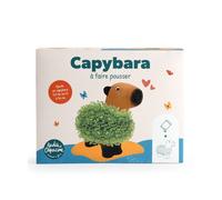Radis et Capucine - Capybara terre cuite poreuse avec graines de chia