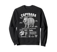 Capybara World's Largest Rodent Infographie Sweatshirt