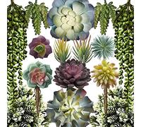 caqpo Lot de 15 Plantes succulentes artificielles sans Pot de qualité supérieure - Plantes succulentes texturées réalistes - Plantes succulentes artificielles pour Bricolage - Feaux Faux Cactus en