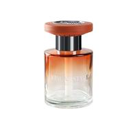 Car Air Freshener - Long Lasting Oil Diffuser for Vehicle Interior, Fragrance Odor Eliminator with Essential Oils, Auto Accessories for Driver, SUV, Sedan, Compact Design, 4.25x2.56x2.56inch