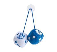 Car FC Schalke 04