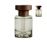 Car Perfume,120ML Plant-Based Aromatherapy | Long-lasting Car Scent - for Workplace Kitchen Interior Truck Trailer SUV