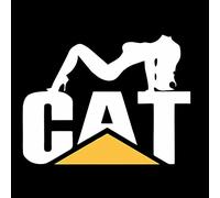 Car Sticker Cat and Beauty Lie Down Sticker Caterpillar PVC Cut Vinyl Refrigerator Laptop Anti-UV Waterproof Car Exterior Accessories Sticke (Color : D, Size : 15cm)