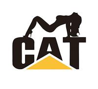 Car Sticker Cat and Beauty Lie Down Sticker Caterpillar PVC Cut Vinyl Refrigerator Laptop Anti-UV Waterproof Car Exterior Accessories Sticke (Color : D, Size : 15cm)