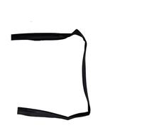 Car Window Seals Joint De Porte Pour Land Pour Rover Pièces Détachées Automobiles T2H10117 T2H10118 H9A325766A Window Seal(T2H10117 right side)