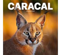 Caracal 2026 Calendar: Wild Cats of the Desert and Savannah