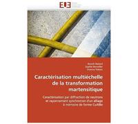 Caractérisation Multiéchelle De La Transformation Martensitique