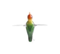 Caractéristiques de la truite, traits liquides de sucré, appât en forme d'oiseau avec crochets Pike Perch Tendre Traut Trout River Salt Fresh