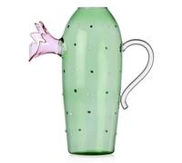 Carafe cactus pink flower Desert Plant