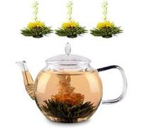 Carafe en verre - Klarstein Feelino - 1300 ml - passoire à thé et fleurs de thé G