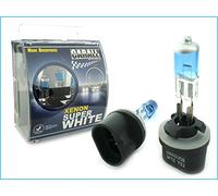 CARALL 2 Lampes Halogènes 12V Blanc Effet Xénon (880 H27 12V 27W PG13)