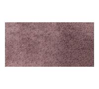 Caran Dache : Musée Crayon : Sépia 50 %