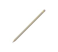 Caran d'Ache : Pablo Coloured Pencil : Beige 403