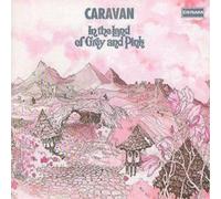In the Land of Grey and Pink – CD – Inclus 5 titres bonus