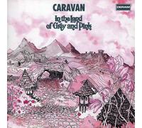 In the Land of Grey and Pink – CD – Inclus 5 titres bonus