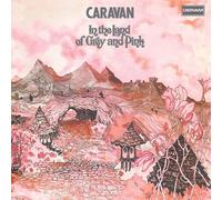 In The Land Of Grey And Pink Vinyle Rose Et Gris Marbré