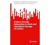 Carbon Dioxide Adsorption in Rock and Geological Storage of Carbon