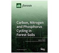 Carbon, Nitrogen And Phosphorus Cycling In Forest Soils