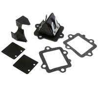 carbonme mbranzungen POLINI, pour Bloc Membrane Piaggio p213.0040 et Minarelli p213.0046, Lot de 4