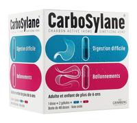 Carbosylane Ballonnements 48 Gélules