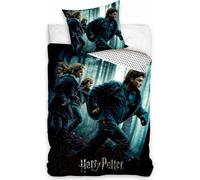 Carbotex Coton bed linen 160x200 Harry Potter Hermione Ron in the forest 1048 graphite blue bed linen for youth