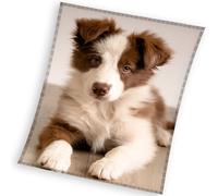 Carbotex Couvre-lit en microfibre 150x200 Dog patched beige cream 4135 C23
