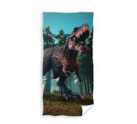Carbotex Dinosaur Dinosaur Dino Tnl215001 Serviette de plage Multicolore 70 x 140 cm