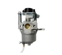 Carburateur 12 V for EIP2700 P16D P16D-2 148 148F 16211 230725G10264-01