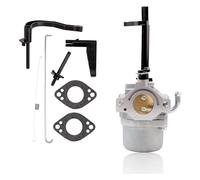 Carburateur 591378 for souffleuse à Neige 796321 696132 696133 796322 697351 699958 699966 698455 695918