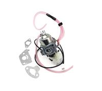 CARBURATEUR adapté for IG1000 KGE1000TI KG55AG Ti10000 IG1000S P15-000
