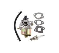 Carburateur avec joint et tuyau d'essence pour MTD Thorx 35 45 55 Güde Budget Fleurelle Einhell Variolux 1P61 1P65 1P70