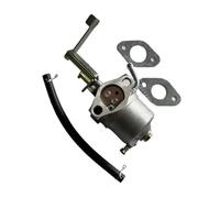 Carburateur avec Joint for APG3006 1050