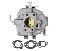 Carburateur avec joint for modèles 294442, 294446, 294447, 295342 et 290442